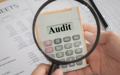 ZPIC Audits What We’ve Learned from 2011 and other Audit Risks Webinar